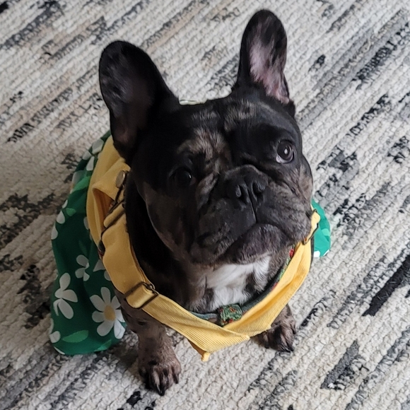 Meet your Posher, Amanda - Picture 2 of 2